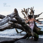 VALERIA DE LORIA OFFICIAL WEB